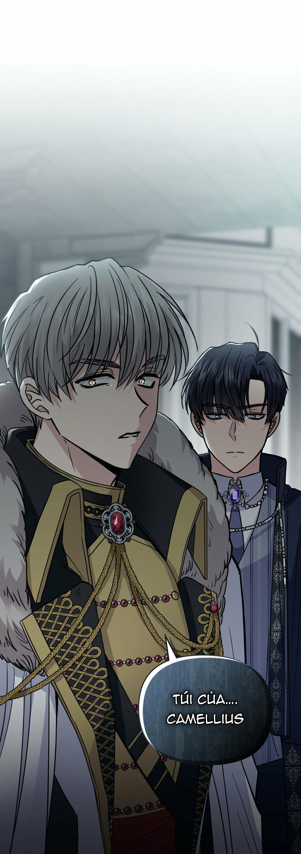 đi tìm nàng camellia chapter 46 62