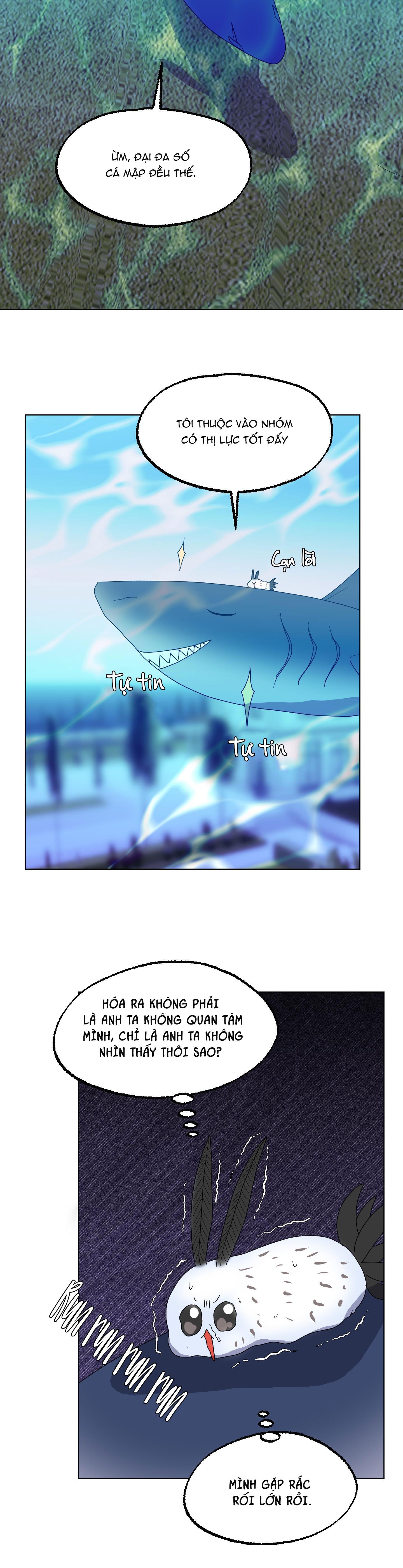 cá mập và cô dâu thỏ chapter 14 22