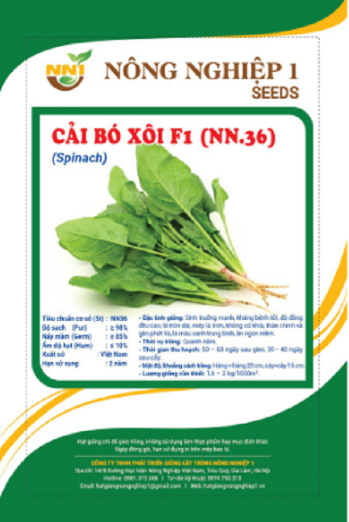 Hạt giống cải bó xôi