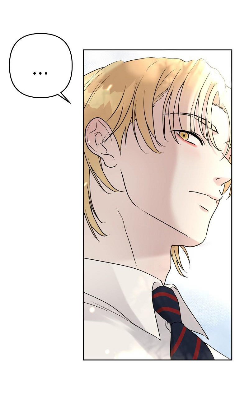 đóa hoa batavia của tôi chapter 4.1 13