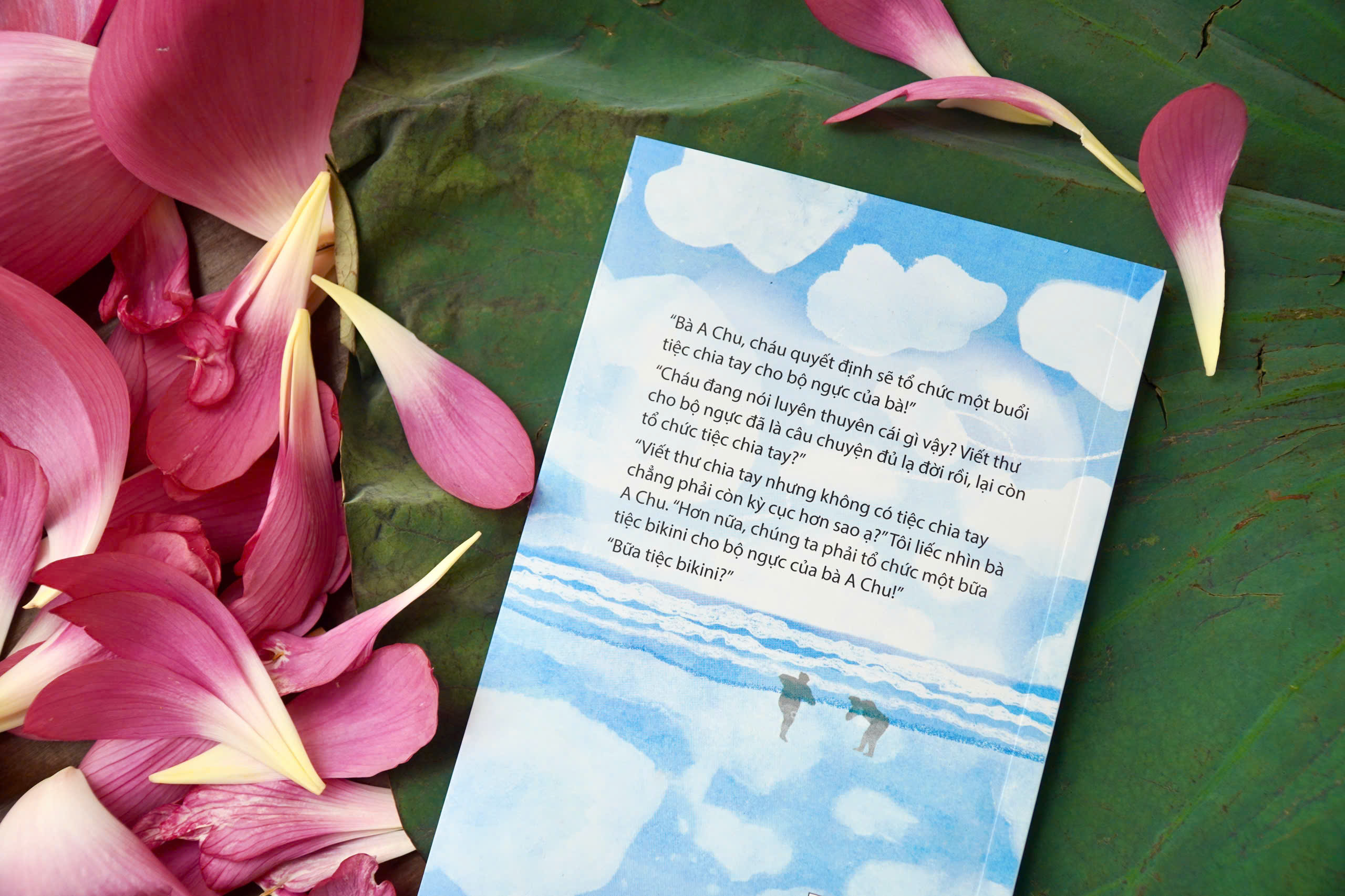 Sách Khi Bà Nội Mặc Bikini