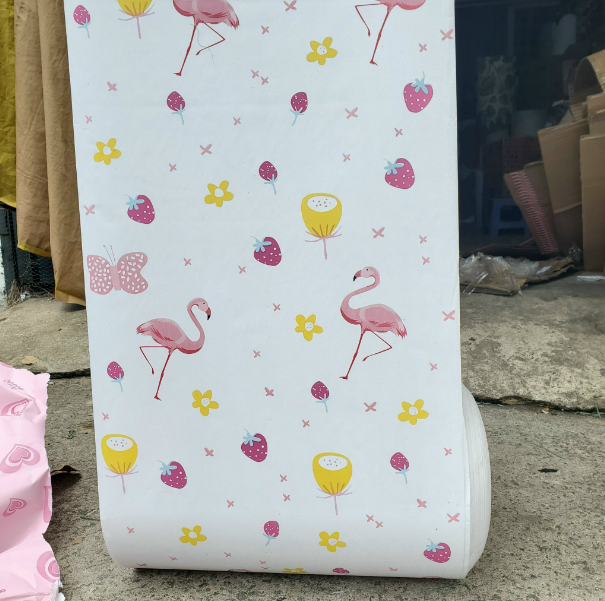 Combo 10 mét giấy dán tường, decal dán tường trang trí nhà cửa HẠC TRẮNG MỚI khổ 45cm