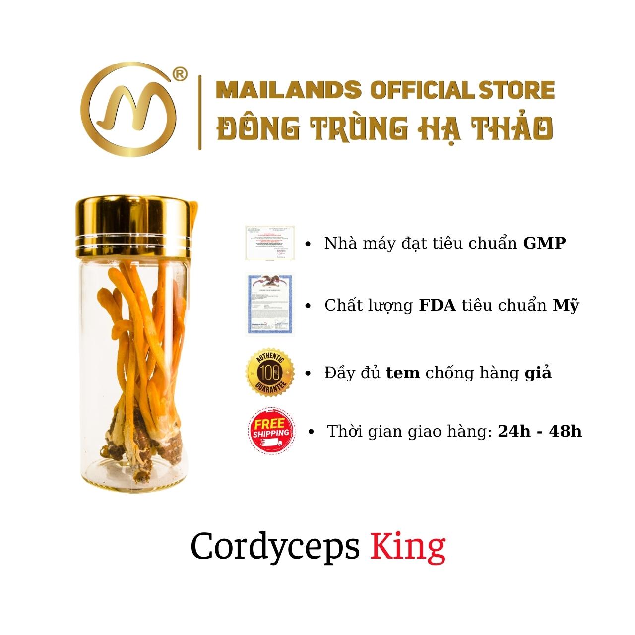 Đông Trùng Hạ Thảo Cordyceps KING