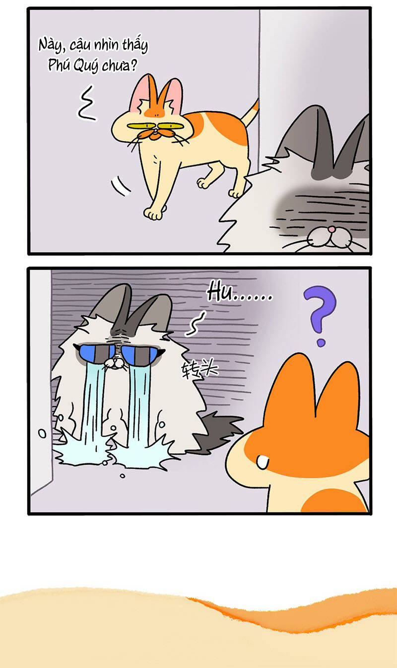 a mãn và mạch trà chapter 39 6