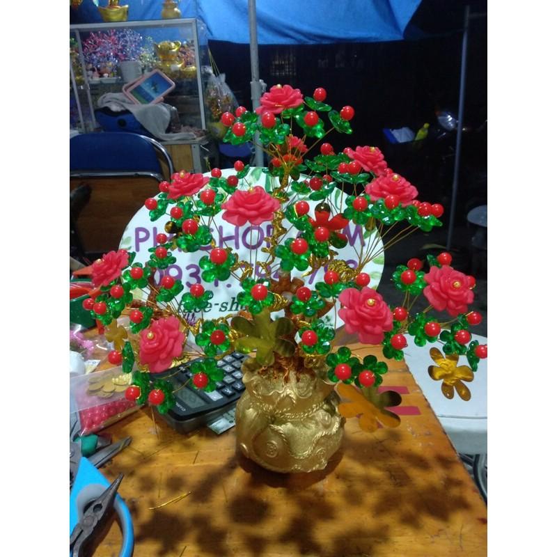 Gốc 7 nhánh làm kẽm lót xu sẵn