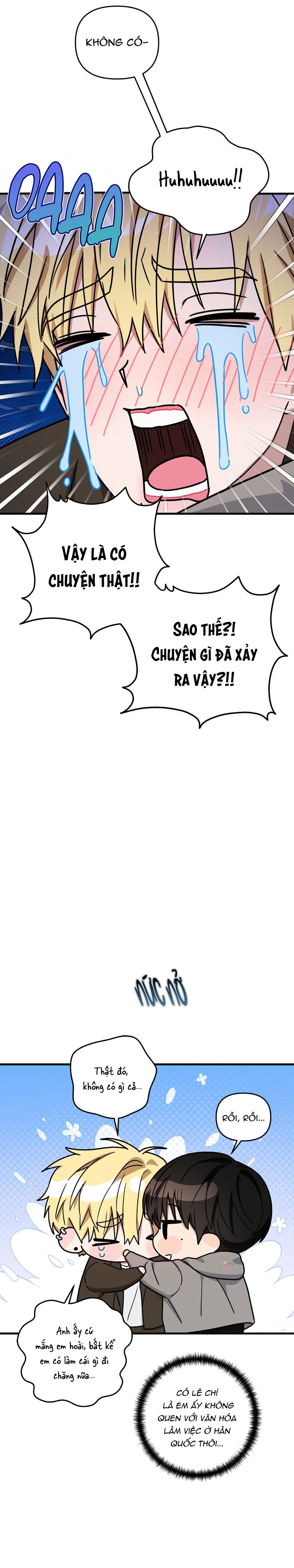 mối tình lừa đảo chapter 17 8