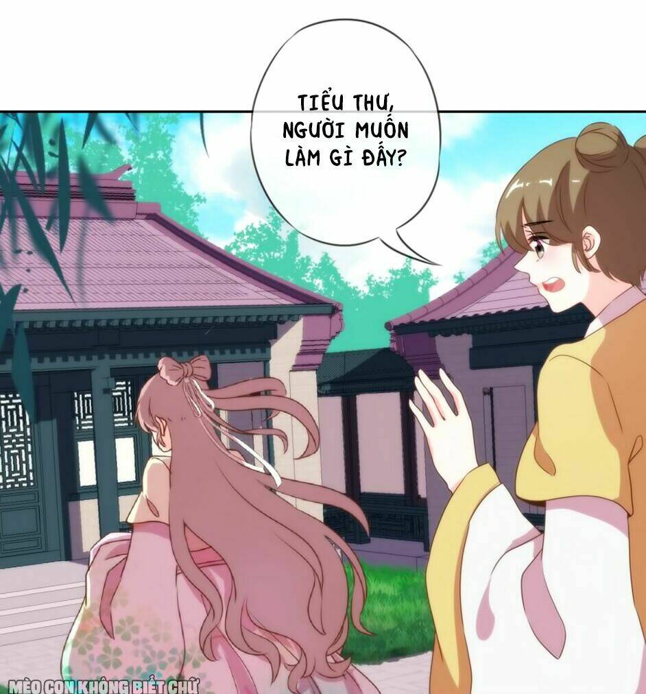 ồ, sủng phi đại nhân của ta chapter 5 24