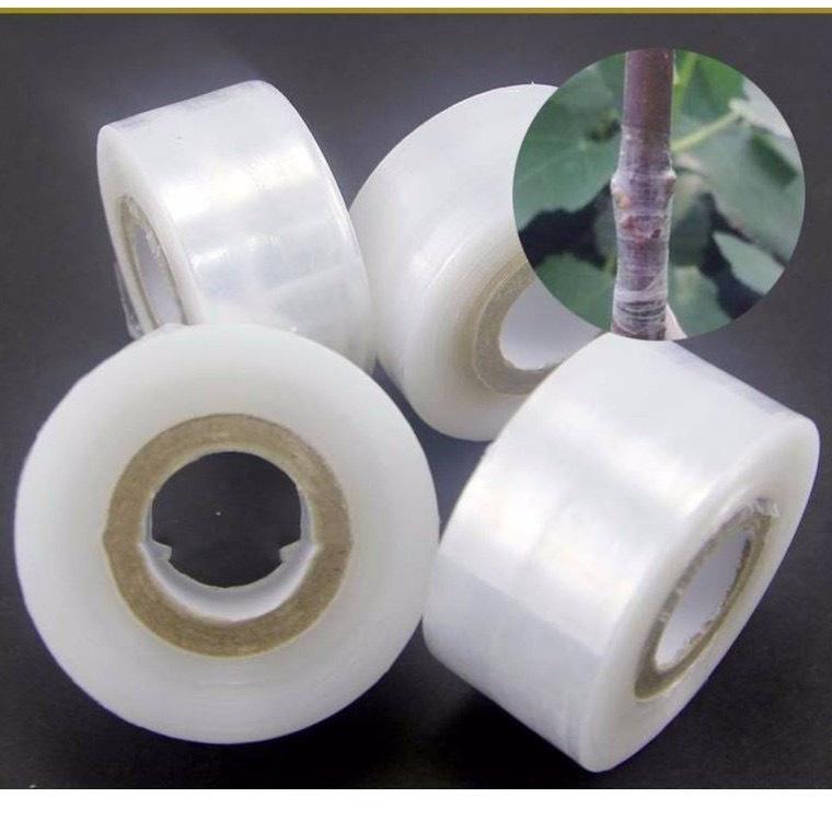 Nilong Ghép Cây, giấy Ghép Cành Tự Hủy Khổ 10x5 Dài 1000m