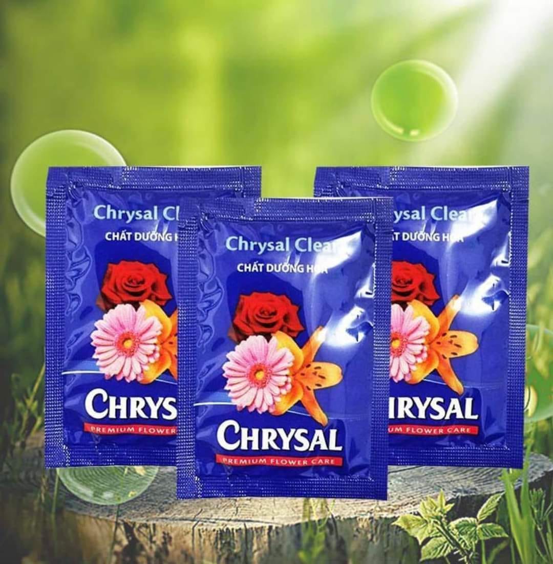 ưỡng hoa lâu tàn Chrysal