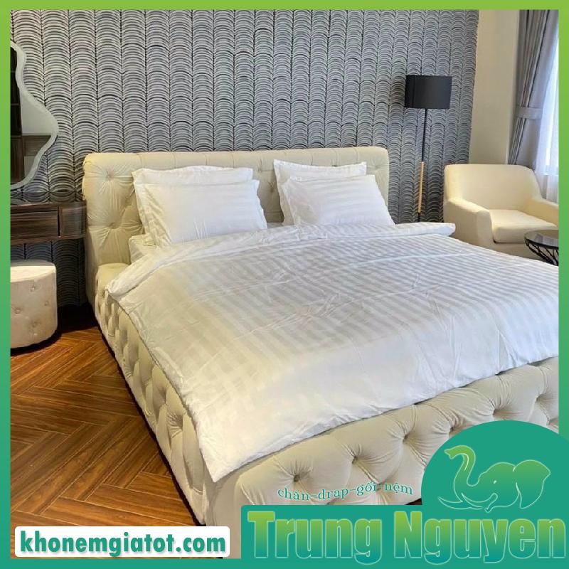 DRAP COTTON TRẮNG 3 SỌC CAO CẤP KHÁCH SẠN-NHÀ NGHỈ