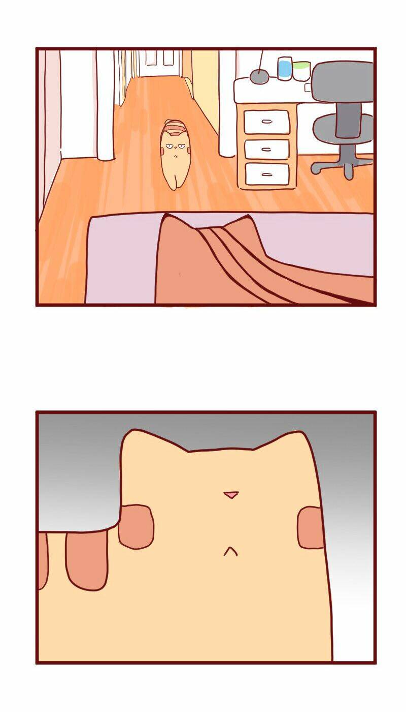 saphie: chú mèo một mắt chapter 10 17