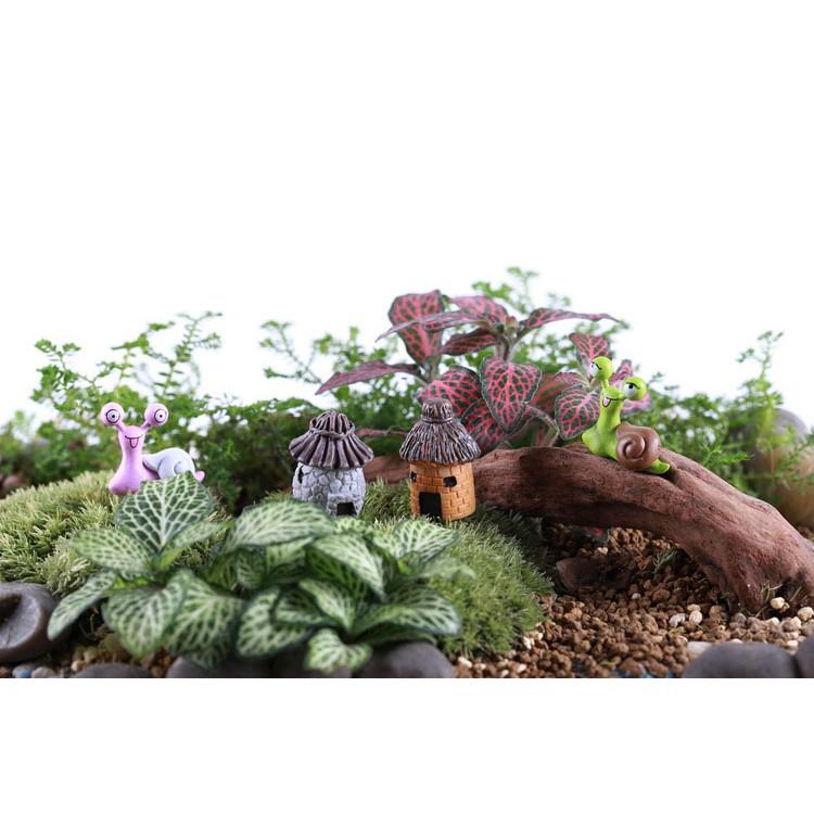 Tiểu cảnh mini Terrarium ️ Nhà cổ thổ dân mini trang trí sen đá, sân vườn, bể cá, bể terrarium