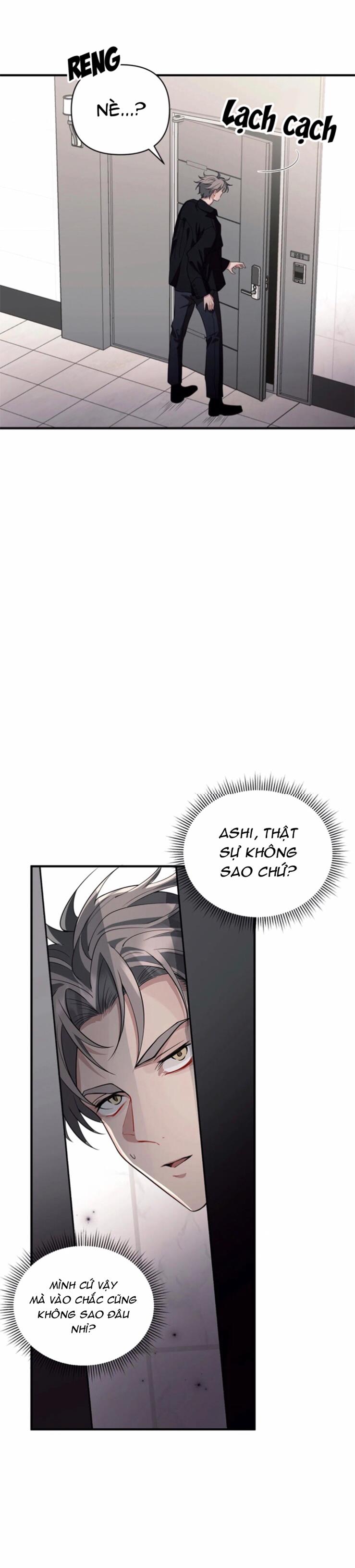 vết tích chapter 13 13