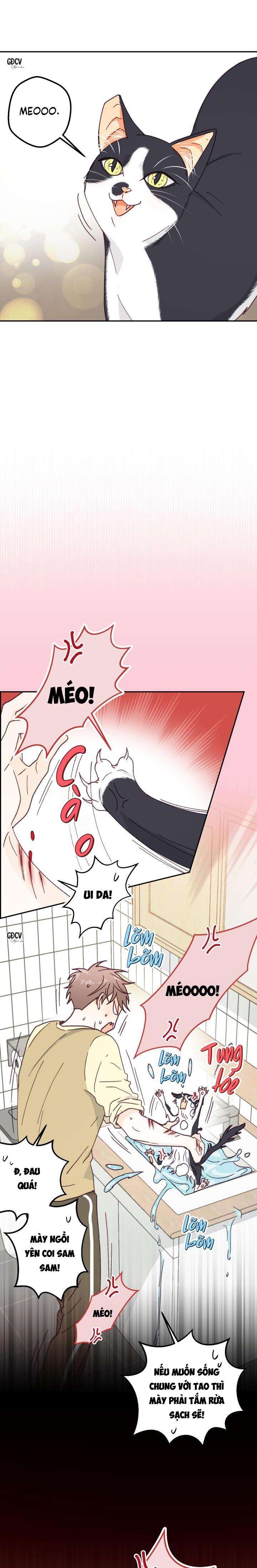 bạn trai vô song của tôi chapter 13 18