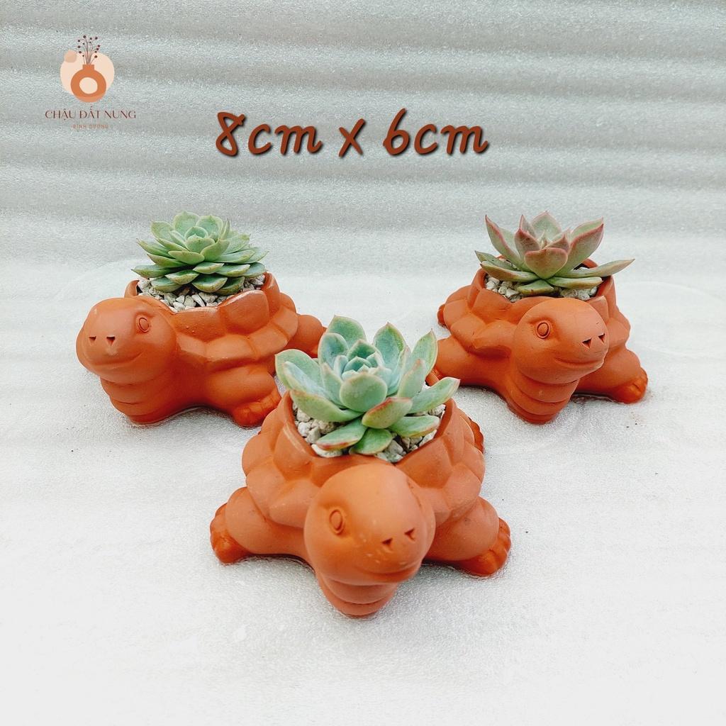 Chậu đất nung Bình Dương - Con rùa, miệng chậu 8cm, chiều cao 6cm