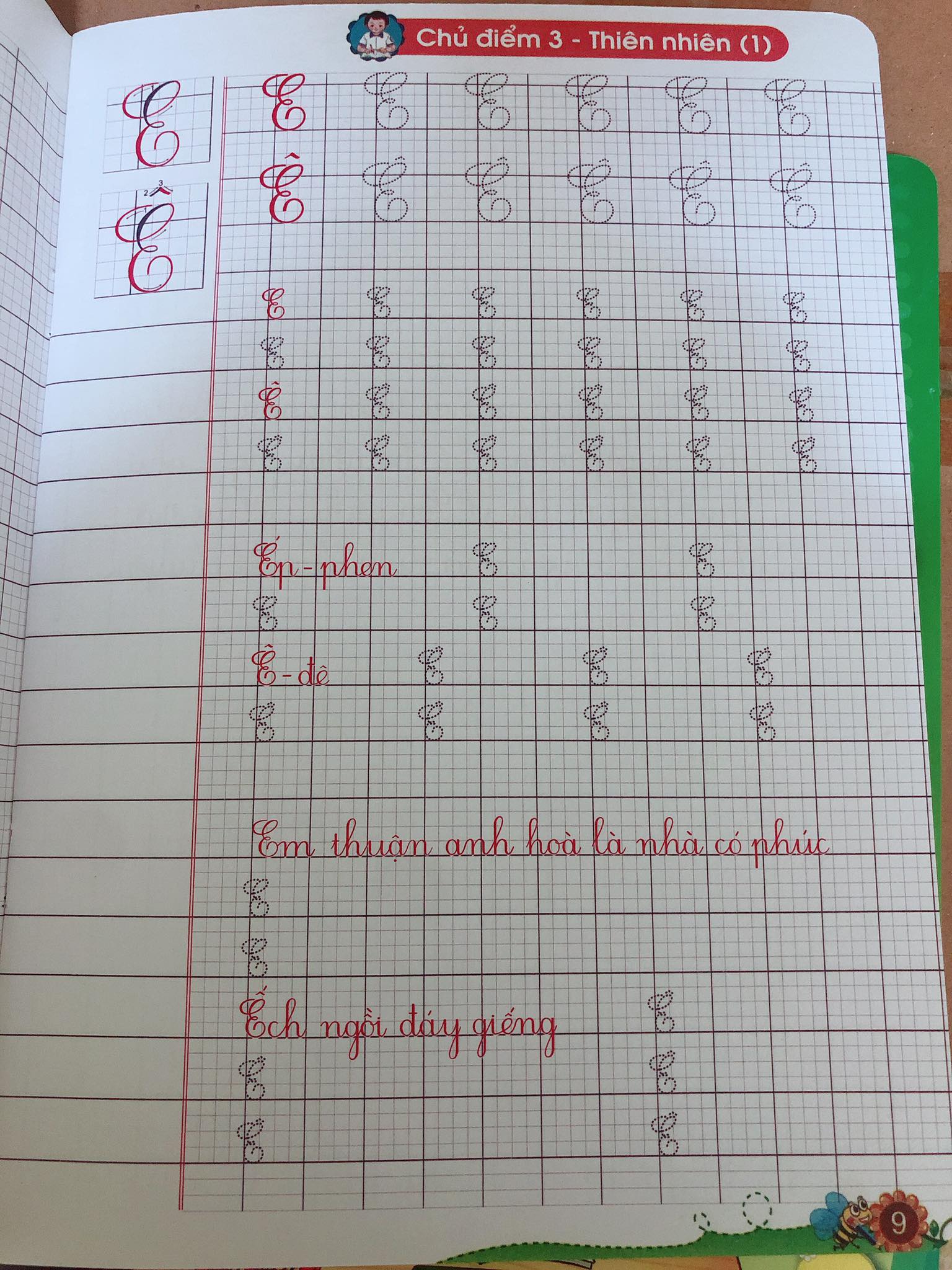 Combo bộ vở ô li lớp 1 - Bộ cánh diều