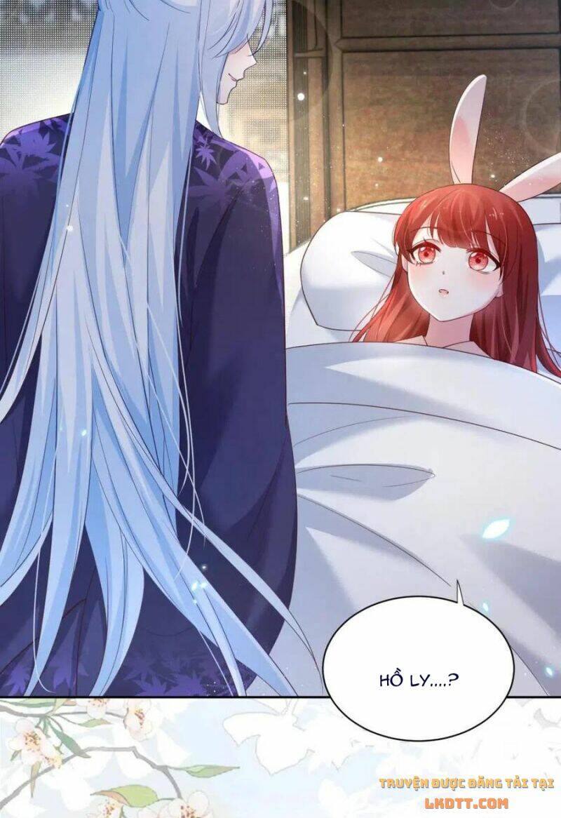 hắc hóa nam chính trực tuyến nuôi thỏ chapter 59 4