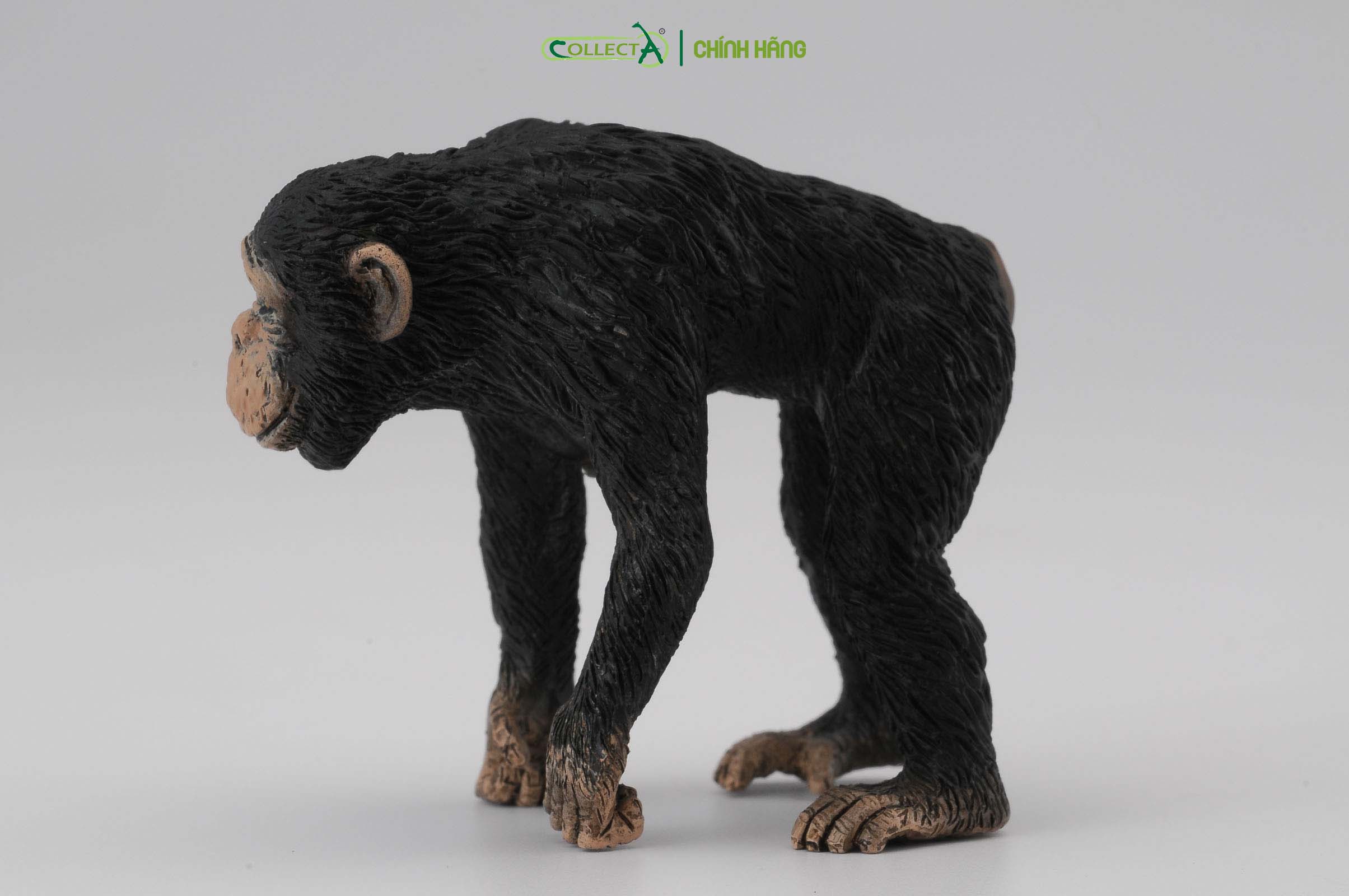 Mô hình thu nhỏ: Tinh Tinh mẹ - Chimpanzee Female, hiệu: CollectA, mã HS 9651030[88493] -  Chất liệu an toàn cho trẻ - Hàng chính hãng