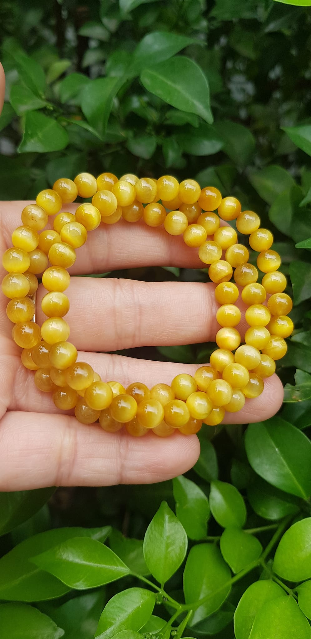 Vòng tay nữ đá mắt hổ tự nhiên vàng anh vip 6mm quấn tay 3 vòng đẹp vòng màu vàng anh tươi đẹp hợp nữ mệnh kim mệnh thổ mệnh thuỷ đeo tay may mắn xinh đẹp sang tay ạ