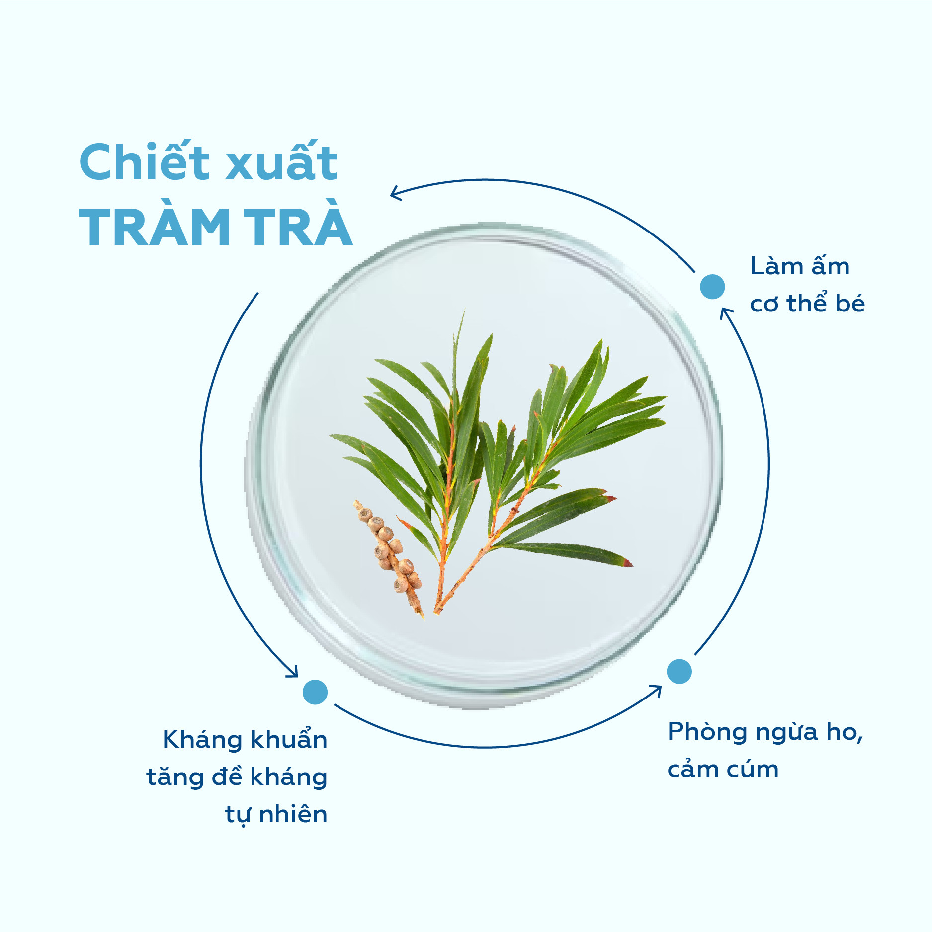 Sữa tắm bọt tràm trà cho bé UMIHA 100ml - Chống cảm cúm, ho, giữ ấm cơ thể tăng miễn dịch ngăn vi khuẩn, bệnh ngoài da