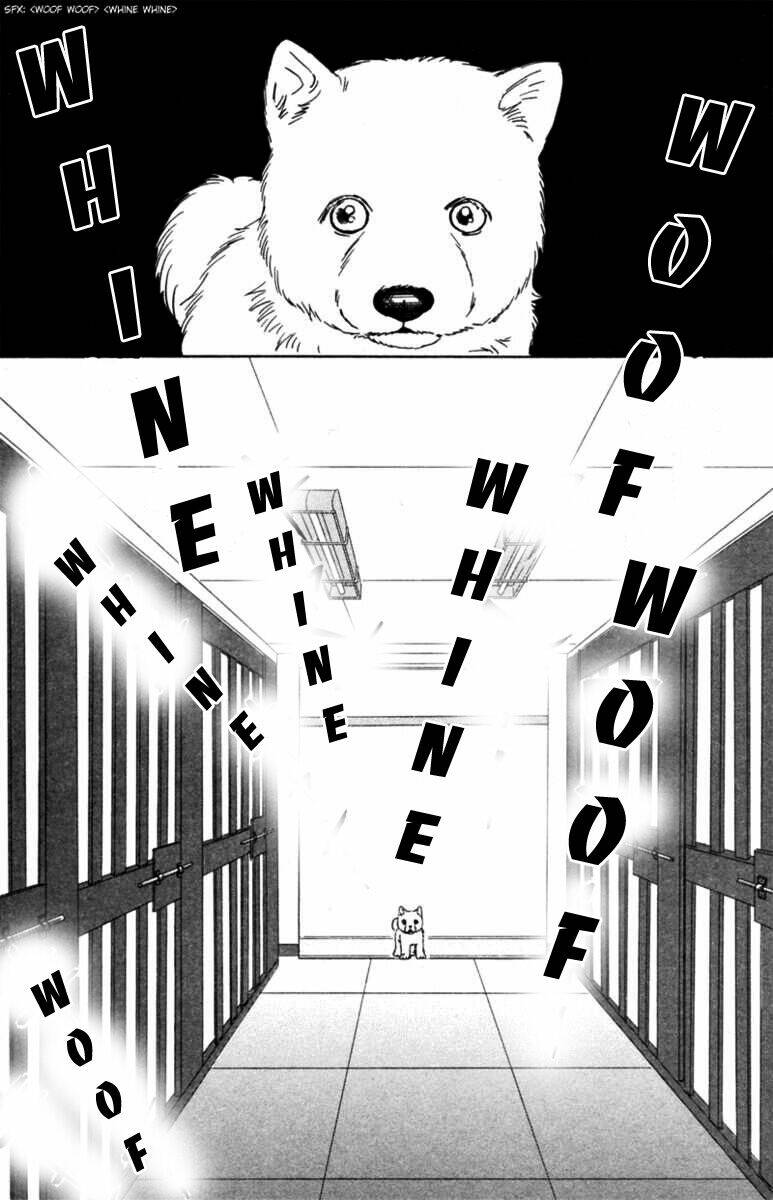 deep love - pao no monogatari chapter 5 10