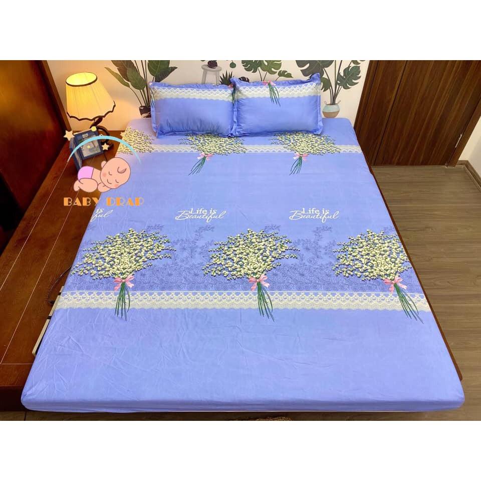 Bộ ga gối 4 món mẫu Hoa Hướng Dương m2/m6/m8/2m2, drap bo chun + 2 vỏ gối poly cotton, ga giường giá rẻ