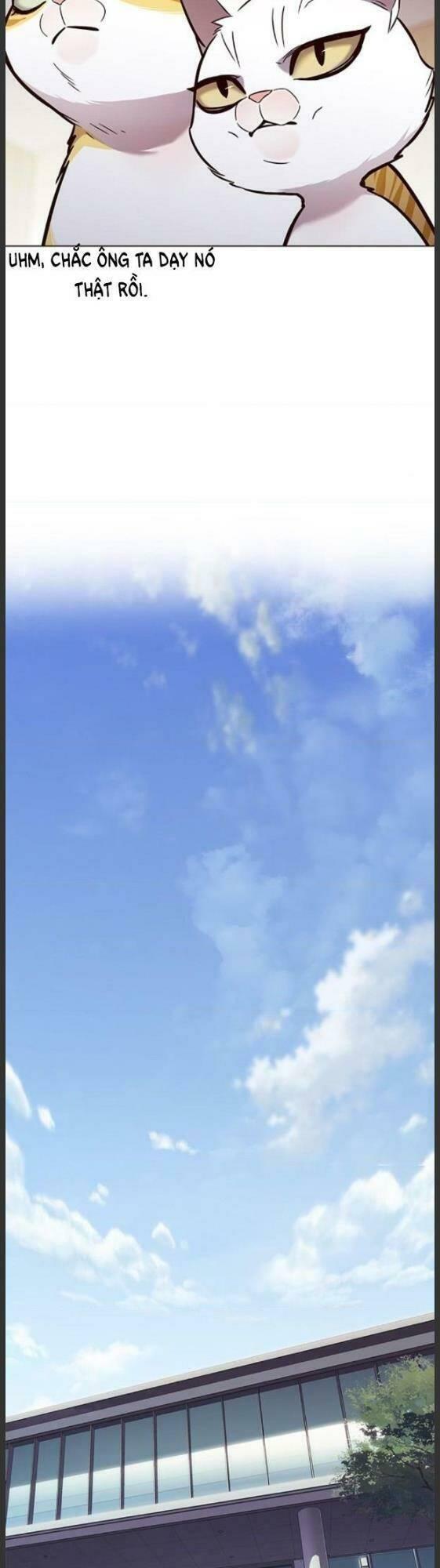 biến thân thành mèo chapter 157 32