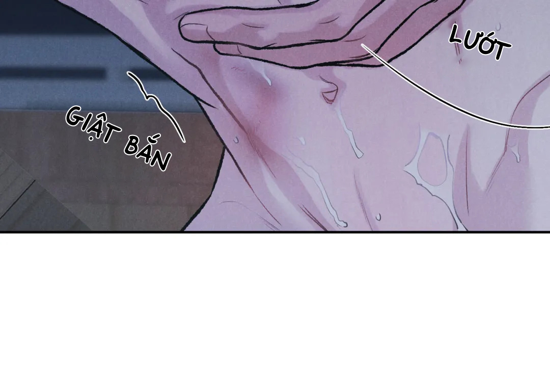 limited run chapter 29 19