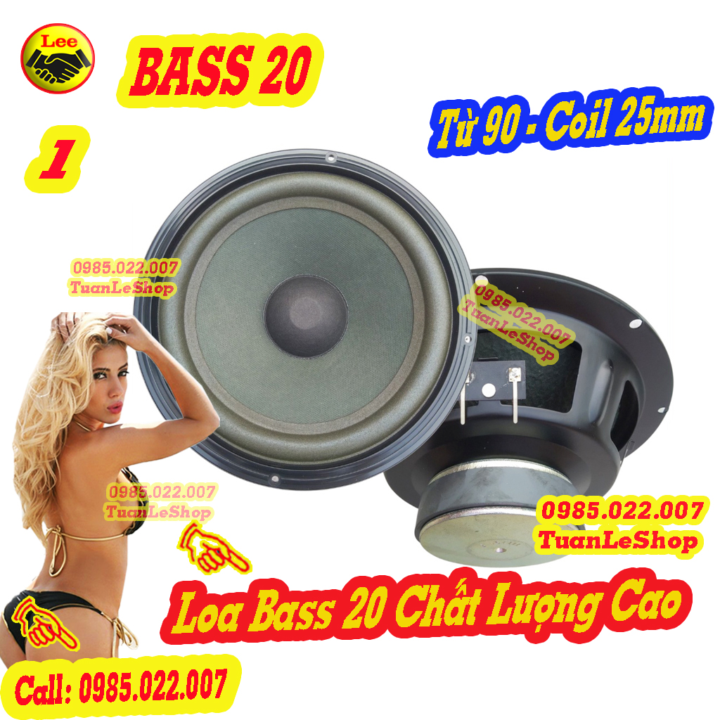 01 LOA BASS 20 MẪU 301 SERI 3 – GIÁ 01 BASS 2 TẤC  SERI III