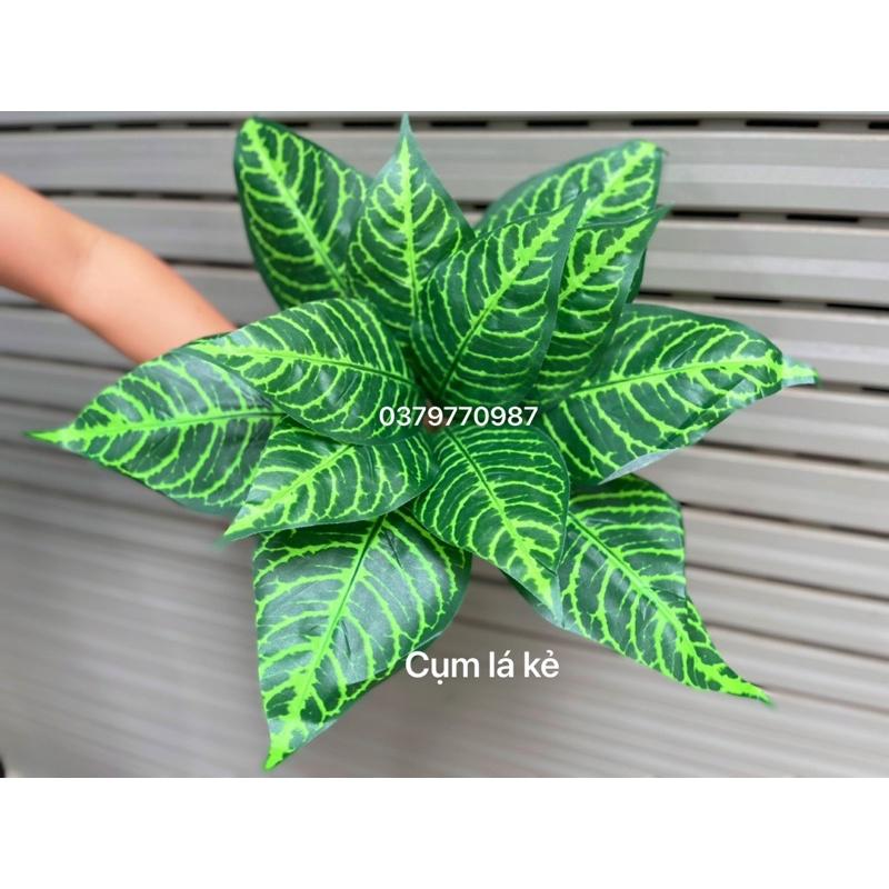 Cụm lá cắm tường cây, Hộp cây trang trí