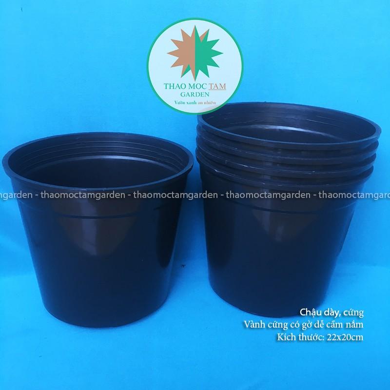 05c Chậu nhựa cứng 22x20cm – Chậu nhựa cứng, dày thích hơp trồng hoa hồng, cây hoa, cây kiểng