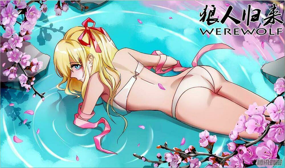 were wolf chapter 71 1