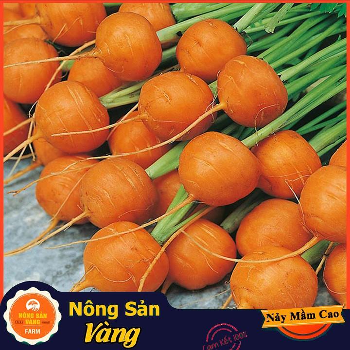 Hạt giống Cà Rốt Củ Tròn ( 0,5 Gram )