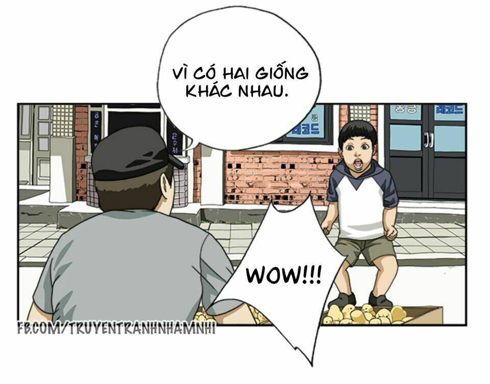 cậu bé lập dị chapter 14 4