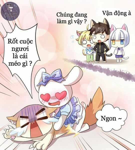dưới móng vuốt mèo chapter 5 32