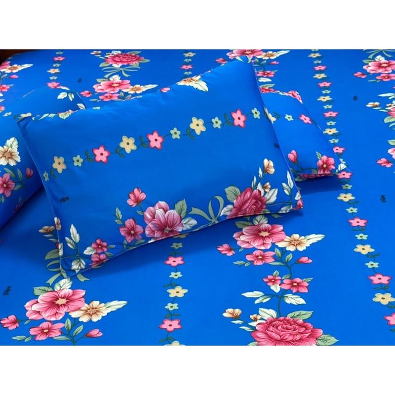 Drap thun hàn quốc