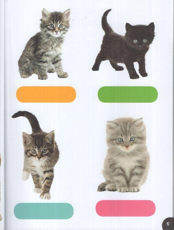 Sách ngoại văn: Baby Animals Sticker Activities