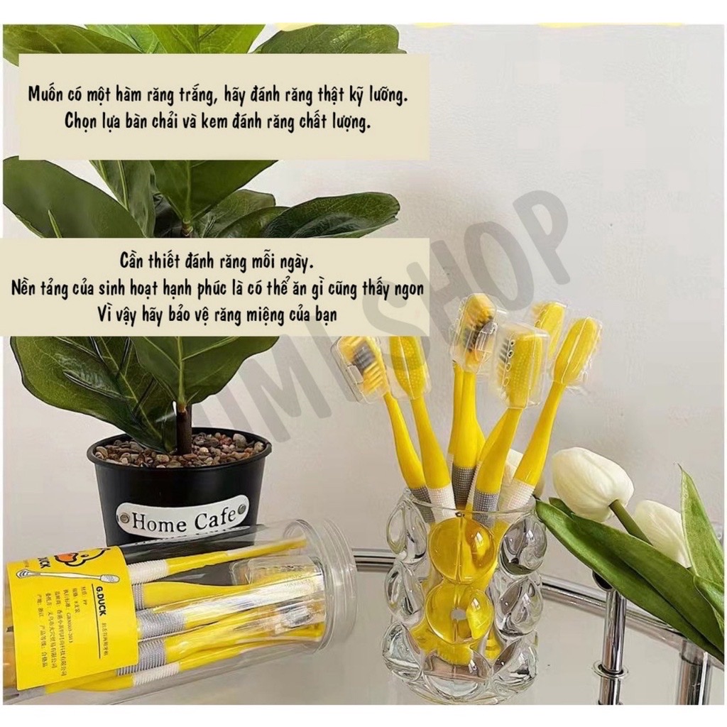 Sét 8 bàn chải con vịt vàng kèm phần đuôi cạo lưỡi ,lông mềm mịn an toàn giúp chải sạch răng hơn loại bỏ những mảng bám cứng đầu