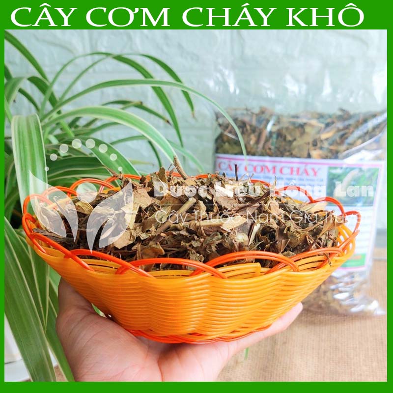 Cây Cơm Cháy khô sạch đóng gói 500g