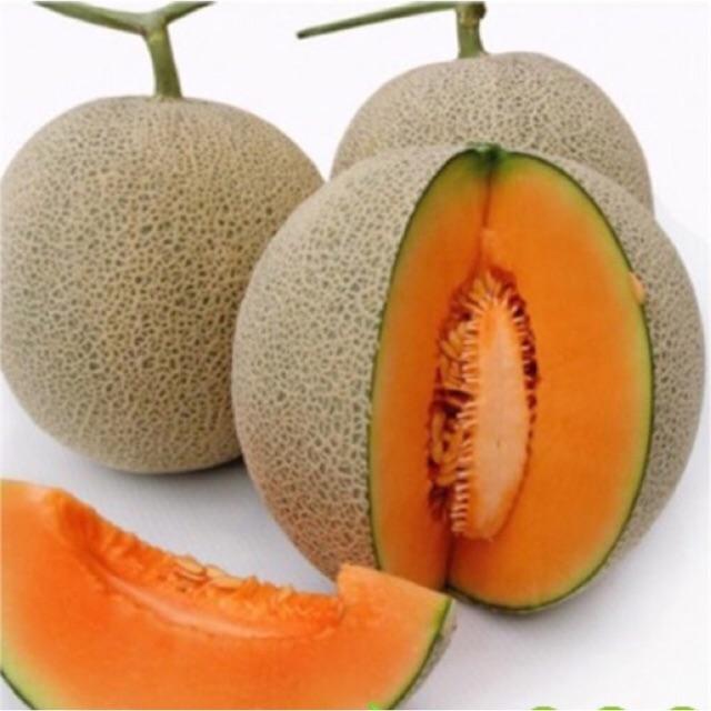 Hạt Giống Dưa Lưới - Dưa Thơm gói 1gr