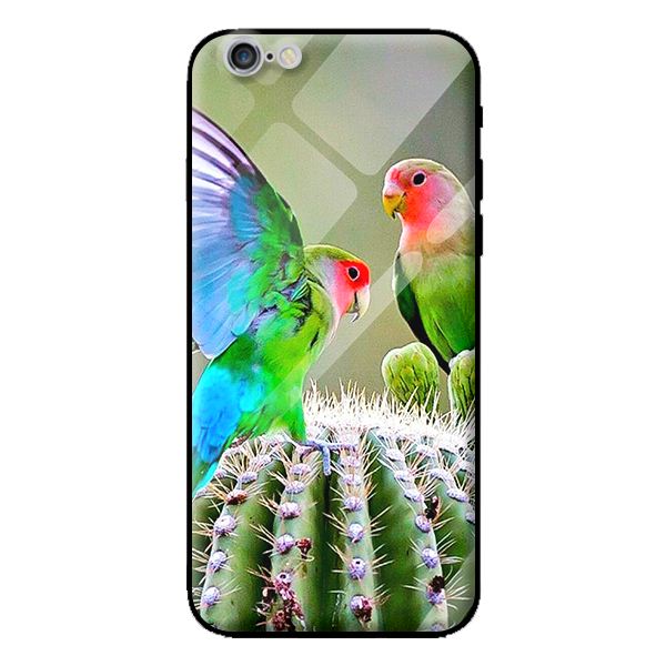 Ốp lưng kính cường lực cho iPhone 6 Plus CHIM 6 - Hàng chính hãng