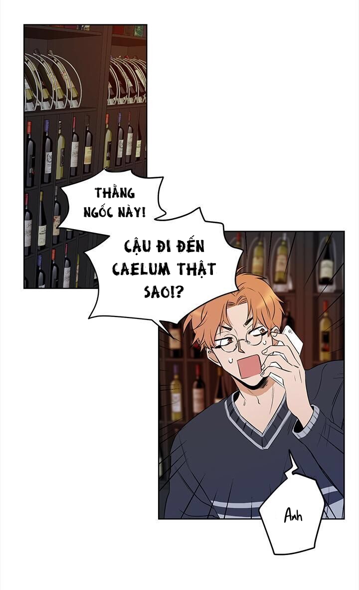 thành phố cạm bẫy chapter 4 32