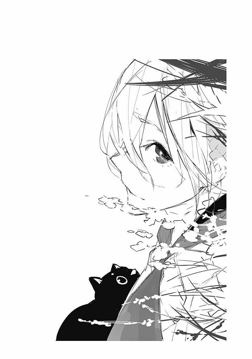 helvetica chapter 6 26