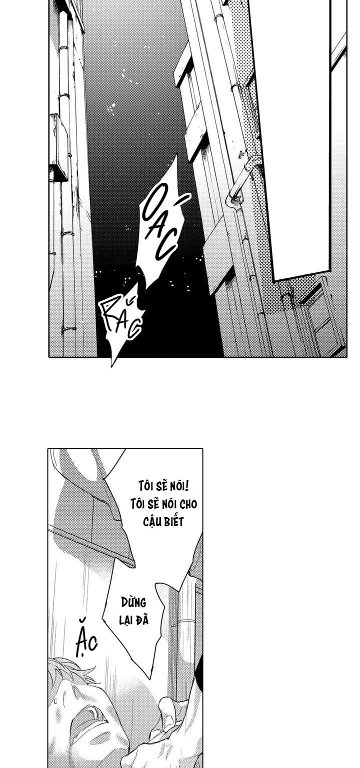 hiyoko-chan to harinezumi-kun chapter 6 22