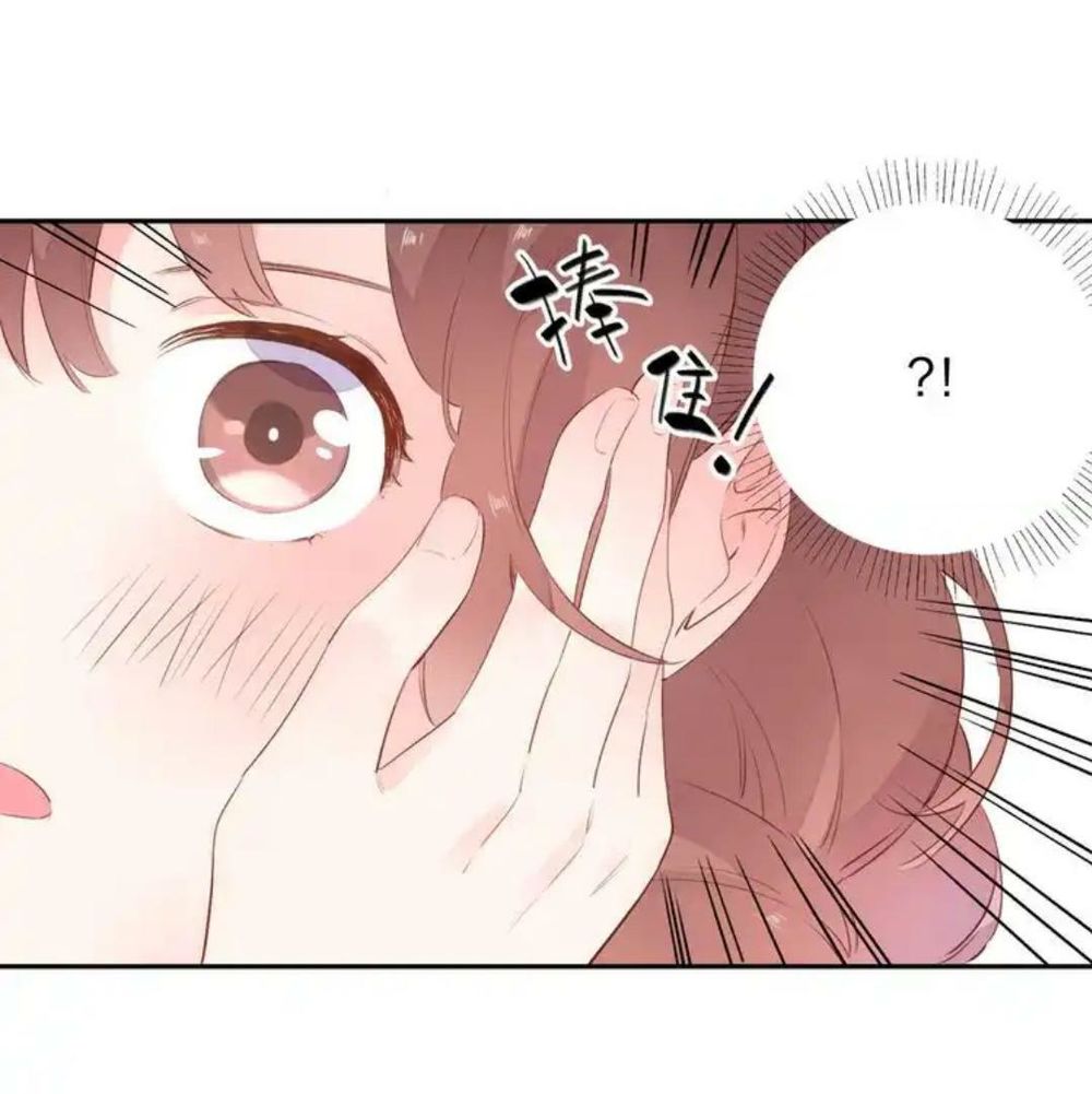 sos! tôi đã yêu một con sâu bướm (phần 2) chapter 49 50