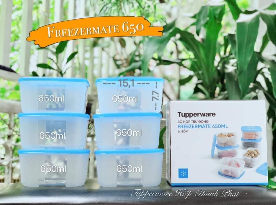 Bộ Trữ Đông Tupperware Freezermate 650ml Set 6