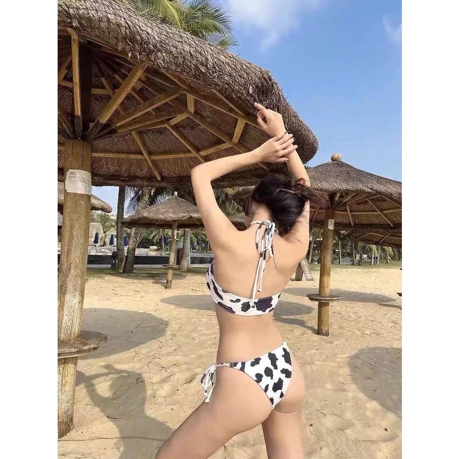 Hai Mảnh Bò Sữa