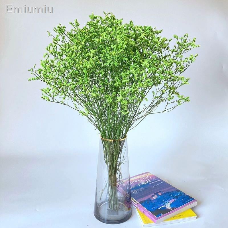 ✥Pha lê đầy màu sắc cỏ hoa khô cầm hoa