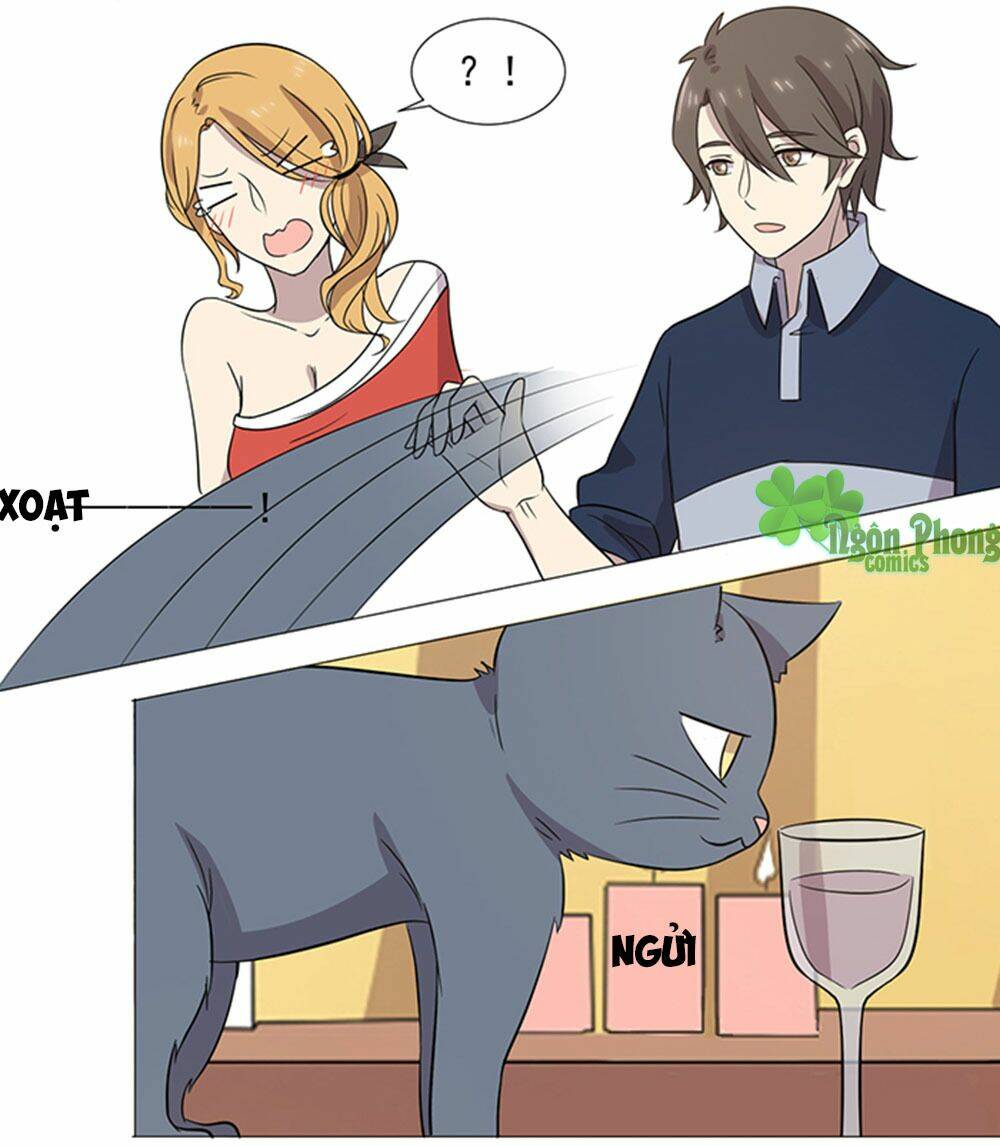 hai chú mèo totem chapter 37 19