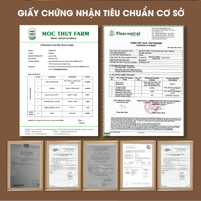 Tinh Dầu Chanh Homer 100ml - Chính Hãng, Đạt Chuẩn Kiểm Định Cao Cấp - Tinh Dầu Xông Thơm Phòng, Thư Giãn, Khử Mùi hiệu quả